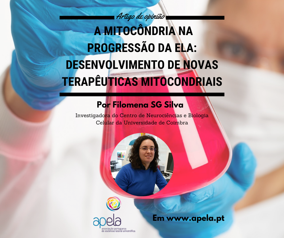 A Mitocôndria na Progressão da ELA: Desenvolvimento de Novas Terapêuticas Mitocondriais