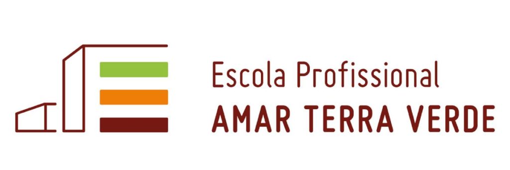 Educar na Era Digital