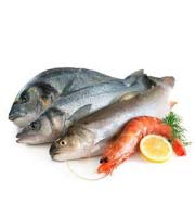 Peixes e mariscos