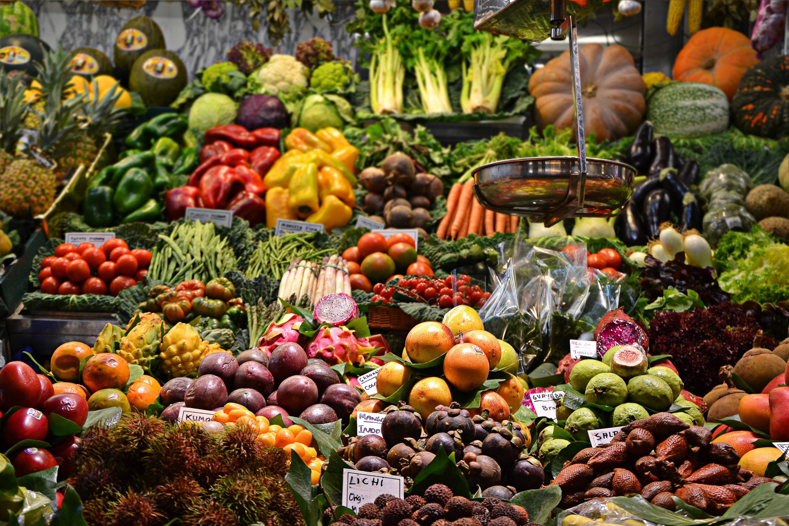 o que é dieta paleo