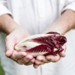 prós e contras da dieta paleo