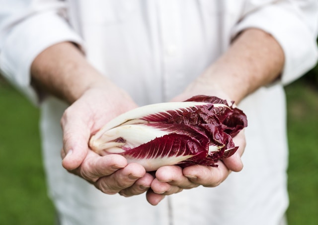prós e contras da dieta paleo