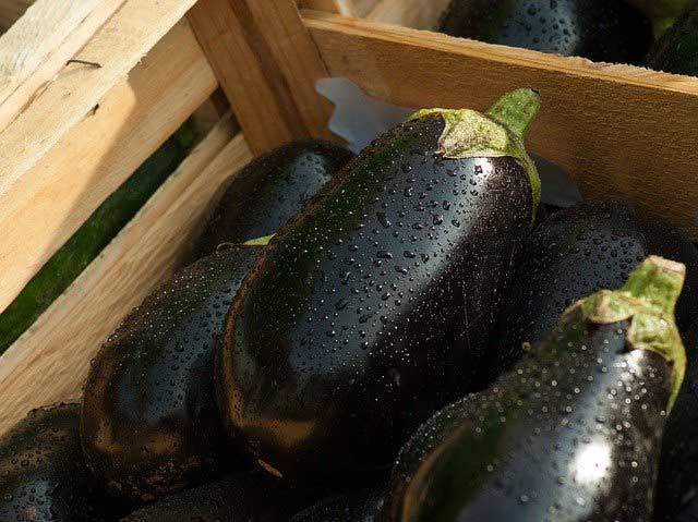 Os químicos nos seus alimentos