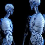 Síndrome do intestino irritável ou doenças inflamatórias intestinais?