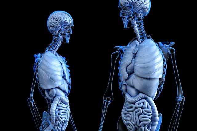Síndrome do intestino irritável ou doenças inflamatórias intestinais?