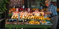 fruta