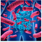 probioticos