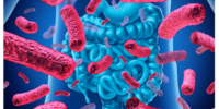 probioticos